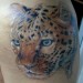 Tattoos - Chinese Cat - 20708